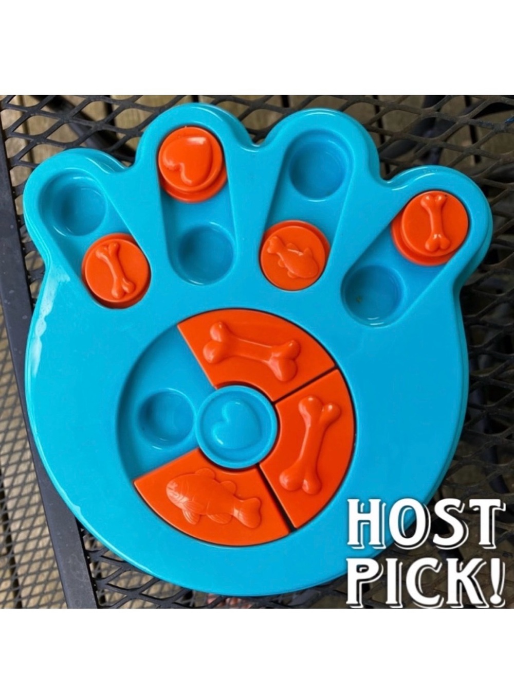 Dog Puzzle Paw Print Pet Toy, Hide & Seek the Treats Game, Puppy Cat Guinea Pig